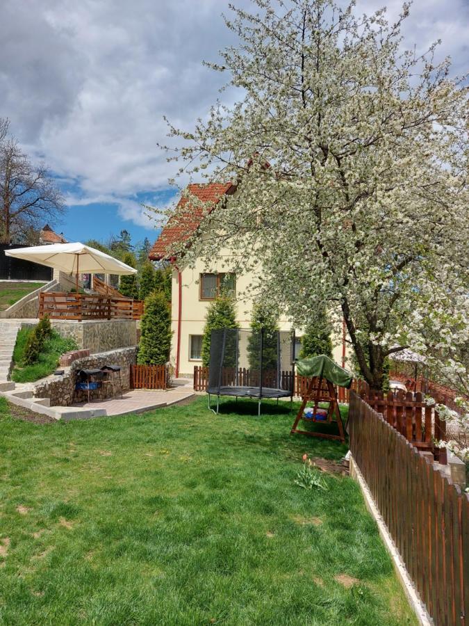 Apartament Matei Brasov Ngoại thất bức ảnh